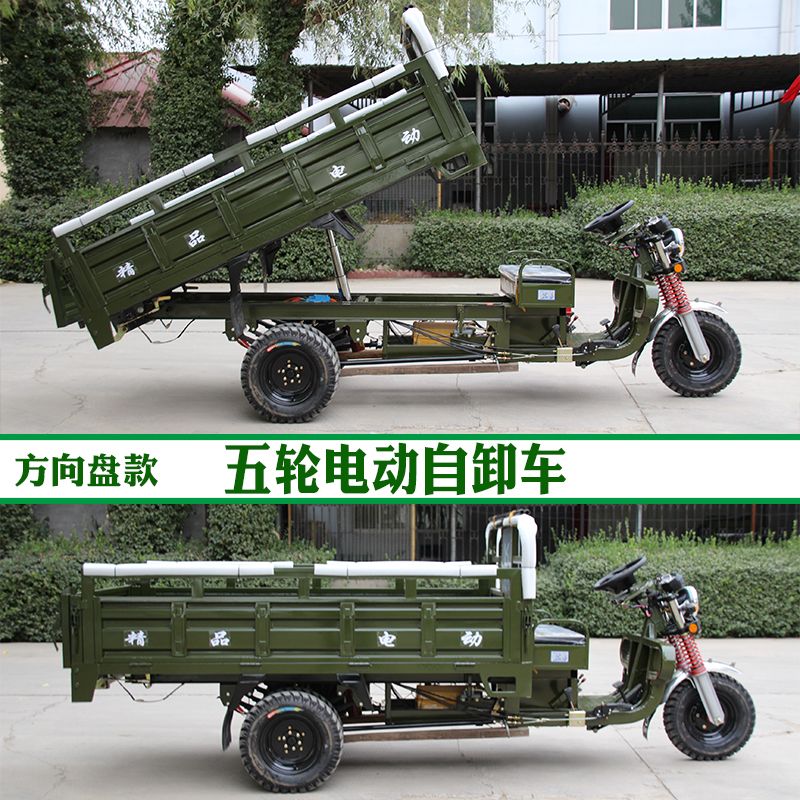 Steering Wheel-Equipped Electric Vehicle - Image 5