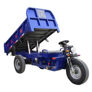 Heavy-Duty Electric Three-Wheeler