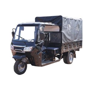 Passenger-Carrying Three-Wheeled Motorcycle