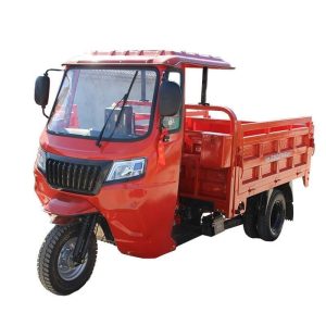 Canopy-Equipped Five-Wheeled Motorcycle