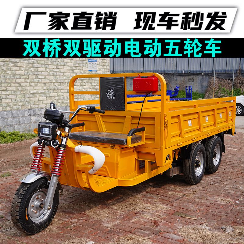 Dual-Drive Electric Vehicle - Image 3