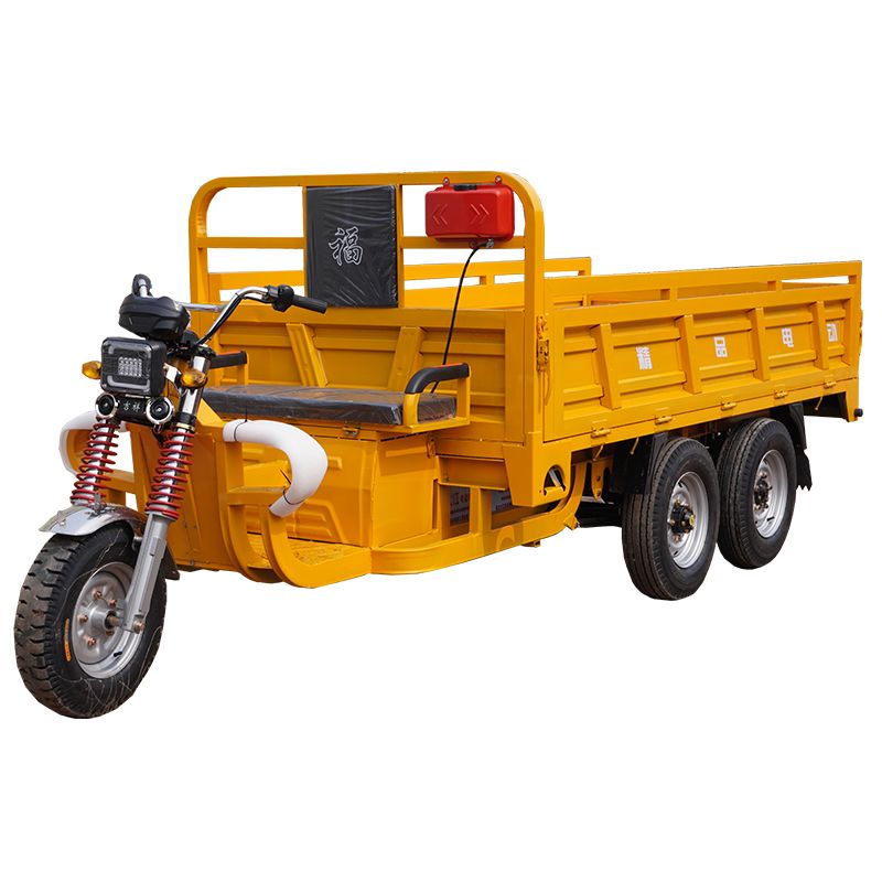 Dual-Drive Electric Vehicle