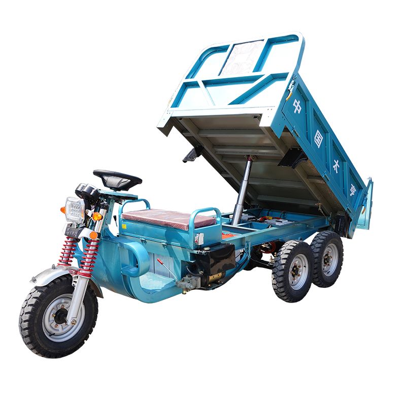 Dual-Drive Electric Vehicle - Image 2