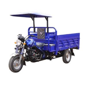 Three-Wheeled Motorcycle