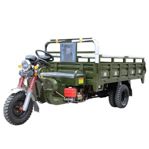 Steering Wheel-Equipped Electric Vehicle