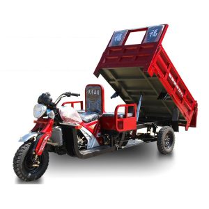 Three-Seater Three-Wheeled Motorcycle